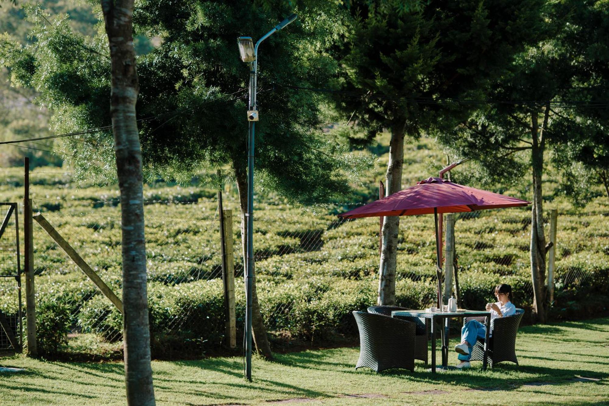 กรีน เนสต์ รีสอร์ต โกฏคีรี Hotel โกตากิริ ภายนอก รูปภาพ
